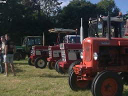 ws 124
